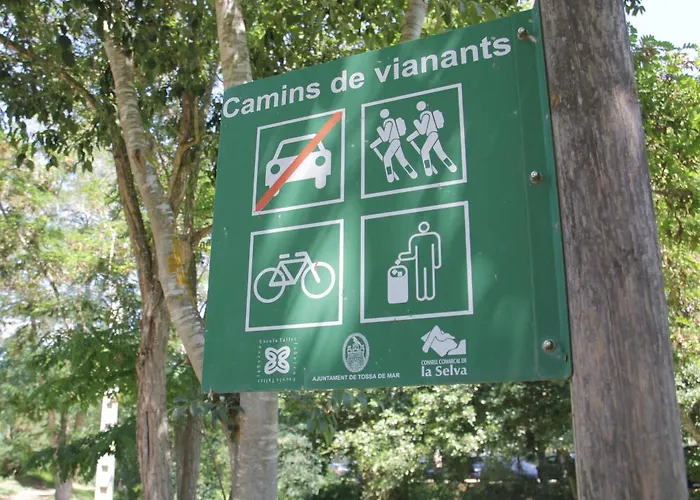 Отель Rvhotels Mar De Tossa 3*